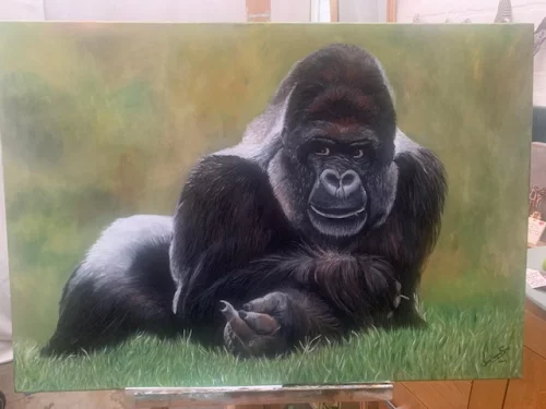 zilverrug gorilla